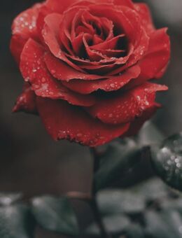 Zeit für einen Neuanfang - Wehretal