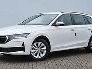 Skoda Octavia, 2.0 TDI IV Combi schwenkbar SELECTION, Jahr 2024 - Bützow