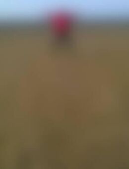 Lot*** - Großenkneten