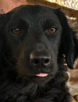 MILANA💖liebe Seele möchte ankommen - Hamburg