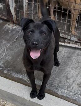 MERA - LIEF AUF DER STRAßE - Nörten-Hardenberg