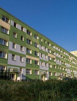 Frisch sanierte 4-Raum-Wohnung ab Dezember bezugsfertig - Halle (Saale)