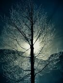 Musiktherapie in 89297