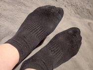 Getragene duftende Socken anzubieten - Dingolfing