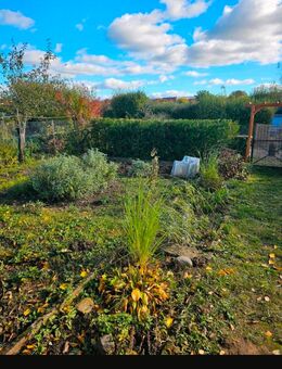Traumgarten in Güstrow wegen Umzug zu verkaufen! - Güstrow Zentrum
