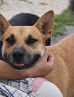 Mara wurde gefunden Mr - Ludwigshafen (Rhein)