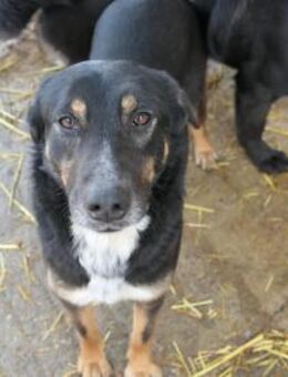 freundliche, aufgeschlossene AMINA - Kallmünz