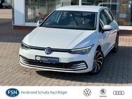 VW Golf, 1.0 TSI VIII Life APP, Jahr 2022 - Teterow