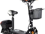 Rolektro E-Motorroller Rolektro E-Joy 45 Lithium, 1000 W, 45 km/h, bis zu 50 km Reichweite, mit USB-Anschluss