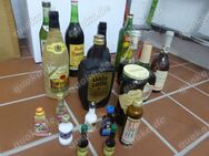 Alkohol Rum Bitter Likör Schnaps Martini Wein Konvolut 10 große Flaschen - Köln