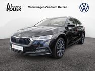 Skoda Octavia, 2.0 TDI Combi First Edition, Jahr 2020 - Uelzen