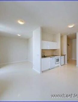 2-Raum-DG mit Terrasse und Dachgarten in Uninähe frei ab sofort - Dresden