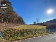 Ländliche Idylle - großzügiges Grundstück mit Wiese und Wald in Kirchleus - Kulmbach