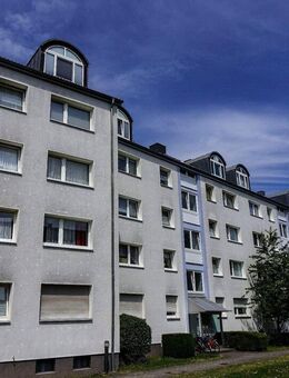 Im Grünen und offen - Frankfurt (Main)