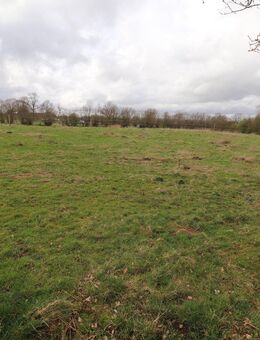 Vielseitig nutzbarer Resthof bei Lütjensee zu Verkaufen, Bauernhaus mit Stallungen auf 9 ha Landfläche - Lütjensee