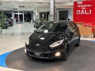 Ford Fiesta Titanium ECO-SHZ-PDC- - Mayen