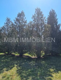 Familienfreundliche Immobilie in Bernsdorf - Bernsdorf (Regierungsbezirk Dresden)
