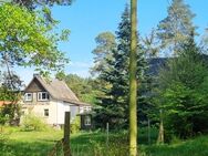 Börs Immobilien ++ Randlage - Einfamilienhaus + Finnhütte - Feldberger Seenlandschaft