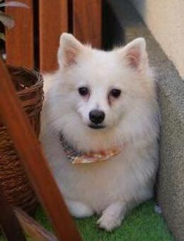 Ted muss Menschen erst lieben lernen - Chemnitz