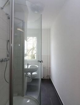 Willst du mit mir duschen gehen...? Moderne 2-RW mit Dusche u. Balkon!!! - Freiberg