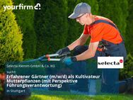 Erfahrener Gärtner (m/w/d) als Kultivateur Mutterpflanzen (mit Perspektive Führungsverantwortung) - Stuttgart