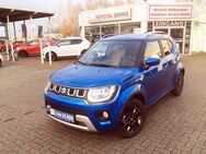 Suzuki Ignis, 1.2 Dualjet Hybrid Comfort, Jahr 2023 - Greven (Nordrhein-Westfalen)