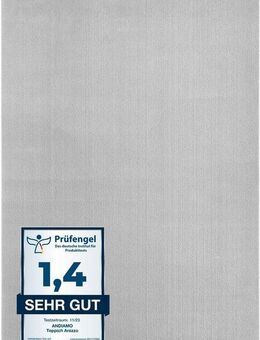 Andiamo Teppich Arezzo, rechteckig, Höhe: 16 mm, Uni Farben, weicher Flor, waschbar, ideal im Wohnzimmer & Schlafzimmer