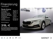 Skoda Octavia, 2.0 TDI Kombi Ambition, Jahr 2021 - Bad Nauheim