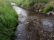 Lebenspartnerin sehr Naturverbunden gesucht, - Heidenau (Sachsen)