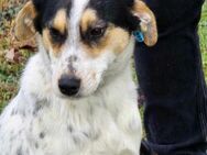 Äußerst freundlich zu allen = NELLY♥️ - München
