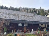 Charmantes Schwarzwaldhaus in Todtmoos - Todtmoos