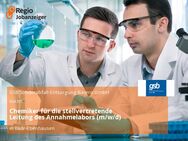 Chemiker für die stellvertretende Leitung des Annahmelabors (m/w/d) - Baar-Ebenhausen