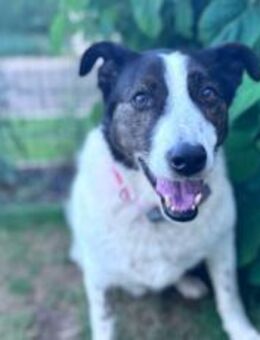 Cersei sucht Familienanschluss - München