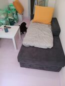 Ausziehcouch mit Schlaffunktion in 13509