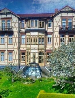 Ihre Wohnetage im Villenviertel mit Panoramakamin vis á vis vom mächtigen Welfenschloss ! - Blankenburg (Harz)