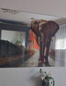 Spiegel m.Bild eines Elefanten + Umgebung sehr guter Zustand wie neu in 89073