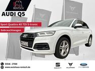 Audi Q5 40 TDI S-Line Quattro *LED*PANO*SHZ* - Lübben (Spreewald)