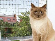 Trixie Katzenschutznetz mit Drahtverstärkung - L 4 x H 3 m