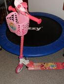 Princess Roller in 21465