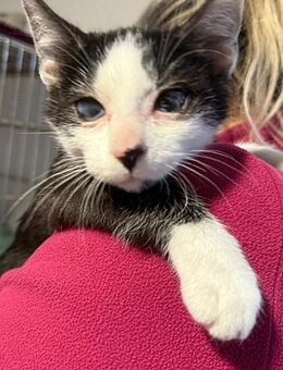 Kiki geht Tapfer durchs Leben - München