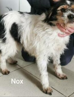 Hübsch, klein, zauberhaft ab 10.1.PS - Wettenberg