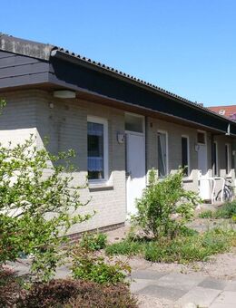 1-Zimmer-Wohnung mit Garten - Sulingen
