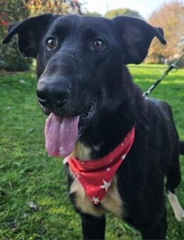 BuhicaWann darf er das schöne Leben...? - Obertshausen