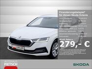 Skoda Octavia, 2.0 TDI Combi First Edition, Jahr 2020 - Melle