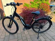 Victoria eBike eTrekking 8.8 (2022) Rahmen Wave M - Gangelt