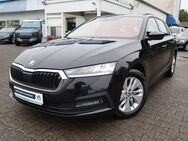 Skoda Octavia, 2.0 TDI Combi Ambition|||, Jahr 2021 - Darmstadt