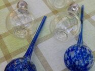 3 Kunststoff Deco Glühbirnen und 2 Glas Wasserspender - Kronau