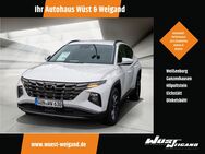 Hyundai Tucson, 1.6 T-GDI Trend A Mild-Hybrid, Jahr 2023 - Weißenburg (Bayern)
