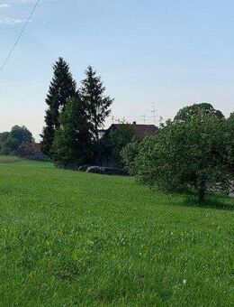 BIEN-ZENKER CELEBRATION 207 V2 mit Bauplatz - Bad Teinach-Zavelstein