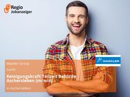 Reinigungskraft Teilzeit Behörde Aschersleben (m/w/d) - Aschersleben